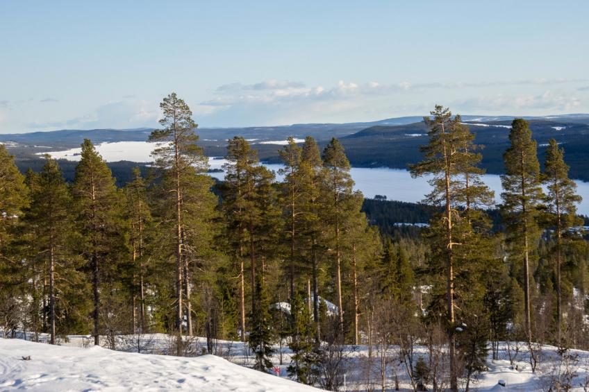 Svanhågna Gård - foto 29