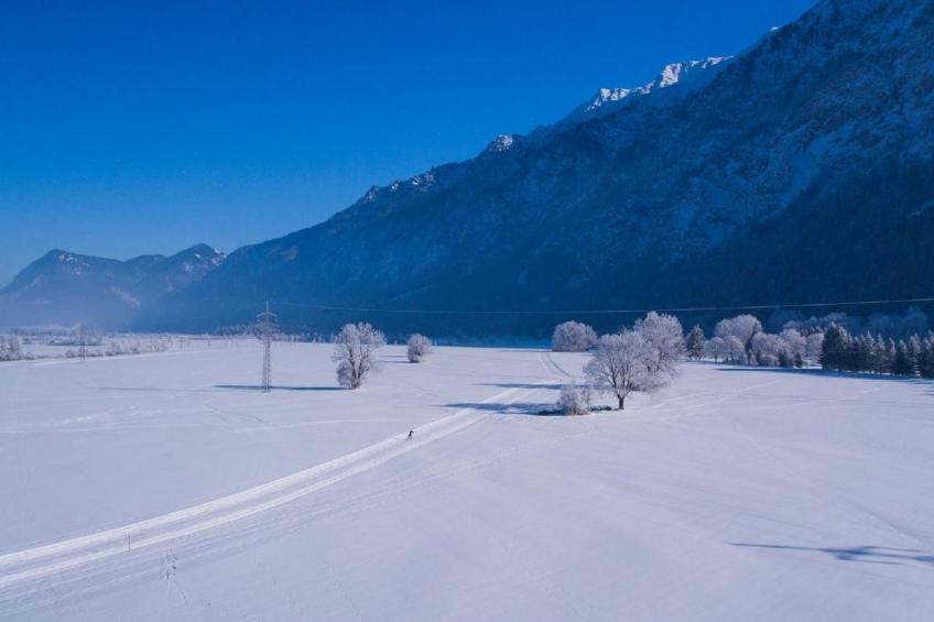 Fewo Alpspitze - foto 31