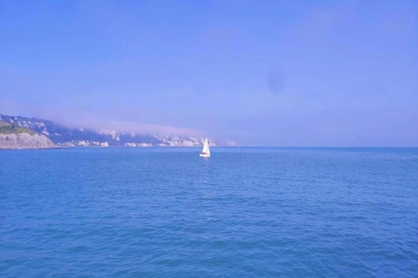 Golden Swan House - foto 38