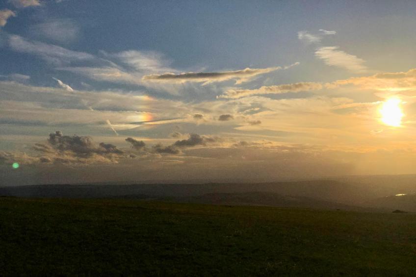 PH0 Apartment Erdgeschoß Pellinger-Hof - foto 21