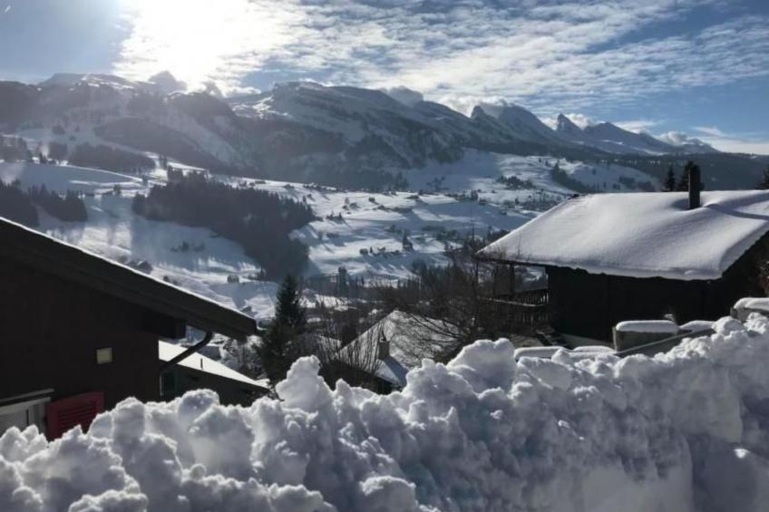 Toggi - foto 31