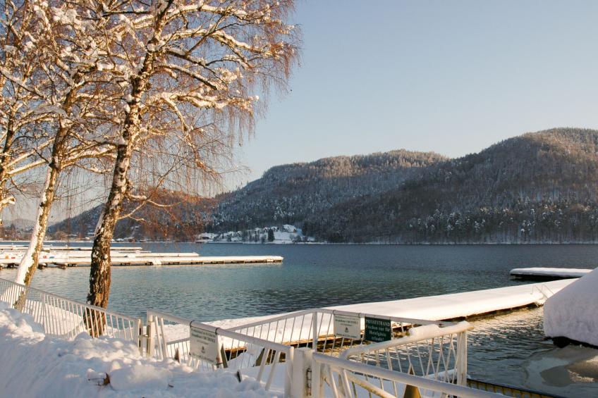 Laube - foto 18