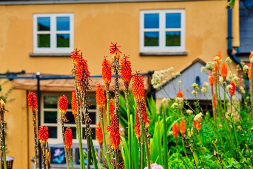 Beili Glas Cottage - foto 6