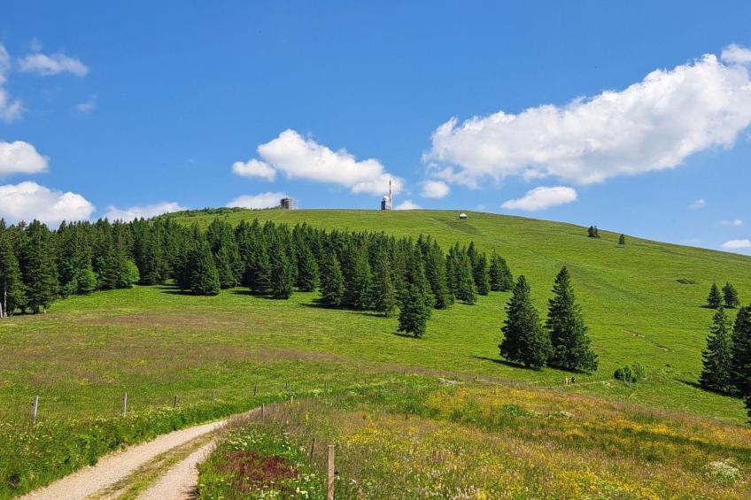 Lufs Loft für 6 Pers - foto 15