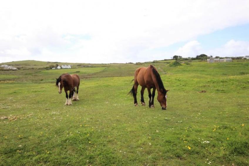 Maison à Cleggan Galway - foto 29