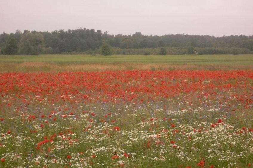 Hubert Haus - foto 2