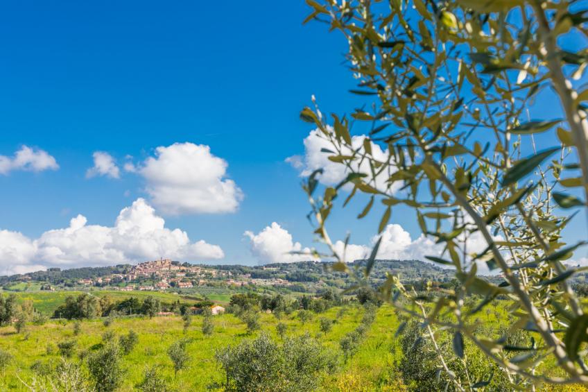 Villa Le Querce - foto 69