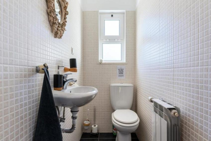 Duas Palmeiras - foto 27