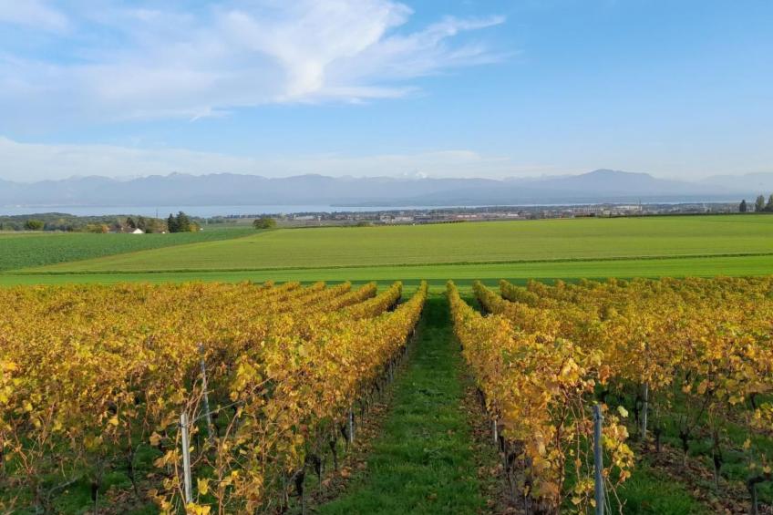 in Bauernhof - foto 24