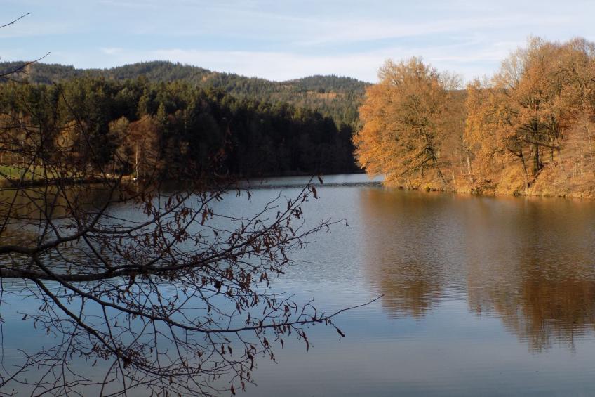 Wohnung mit möblierter Terrasse und Waldblick - foto 12