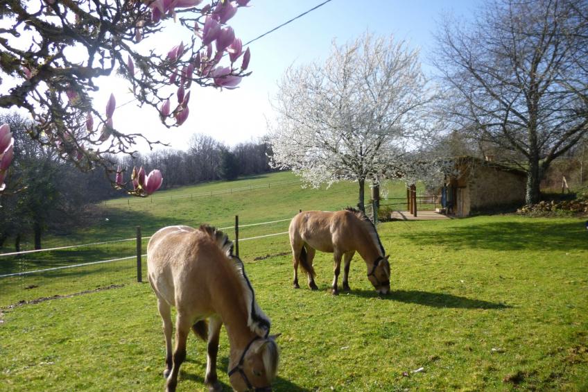 Komfort, Ruhe, privater Pool, EV-Ladestation - foto 26