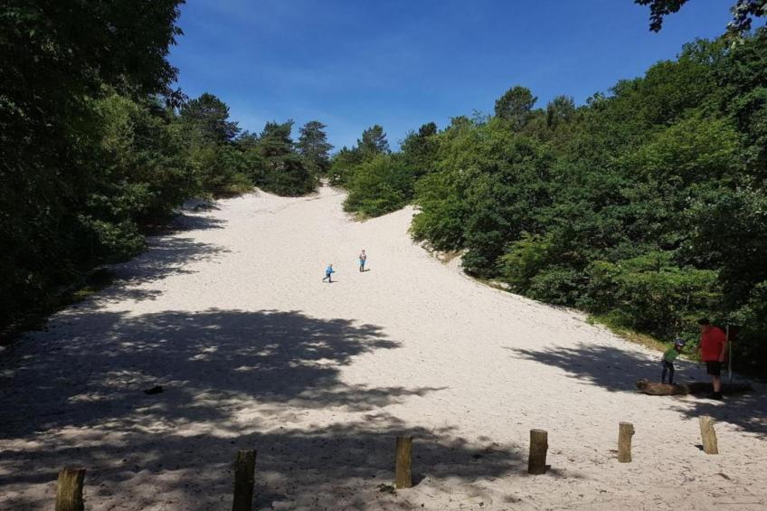 De Strandvogel - foto 42