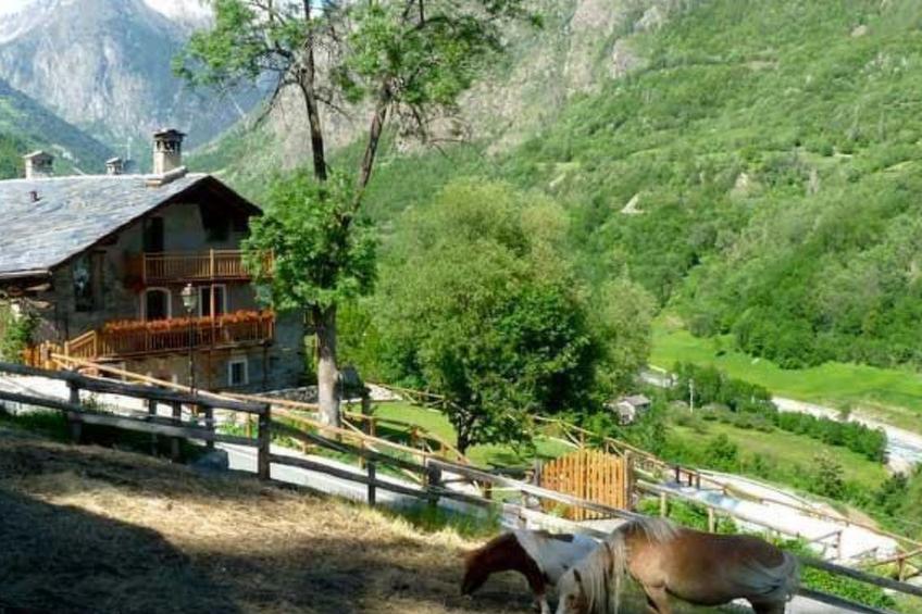 Drei-Zimmer-Wohnung La Mucca in Gignod - foto 13