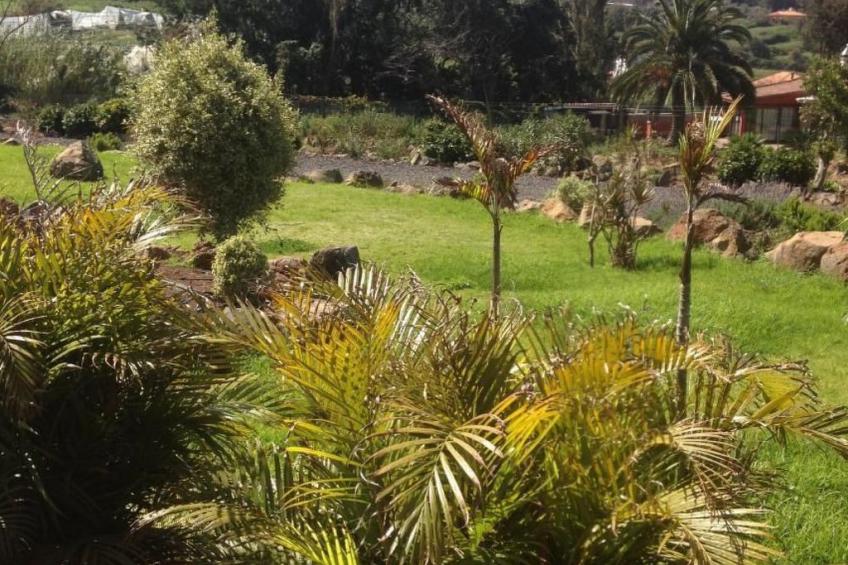 Finca Los Vinedos - foto 16