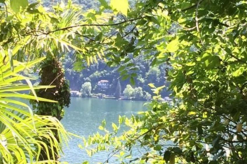 La Quercia - foto 32