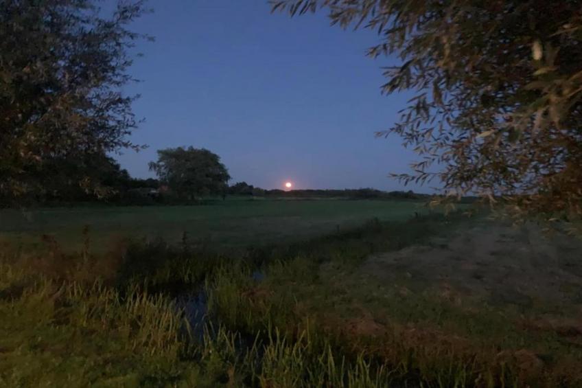 Chalet Grytsje - foto 25