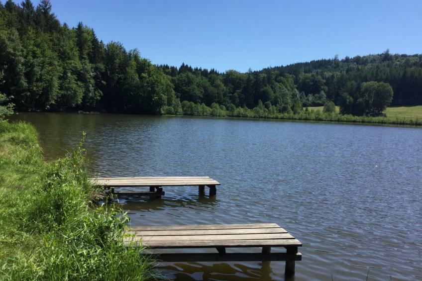 mit Panoramablick - foto 23