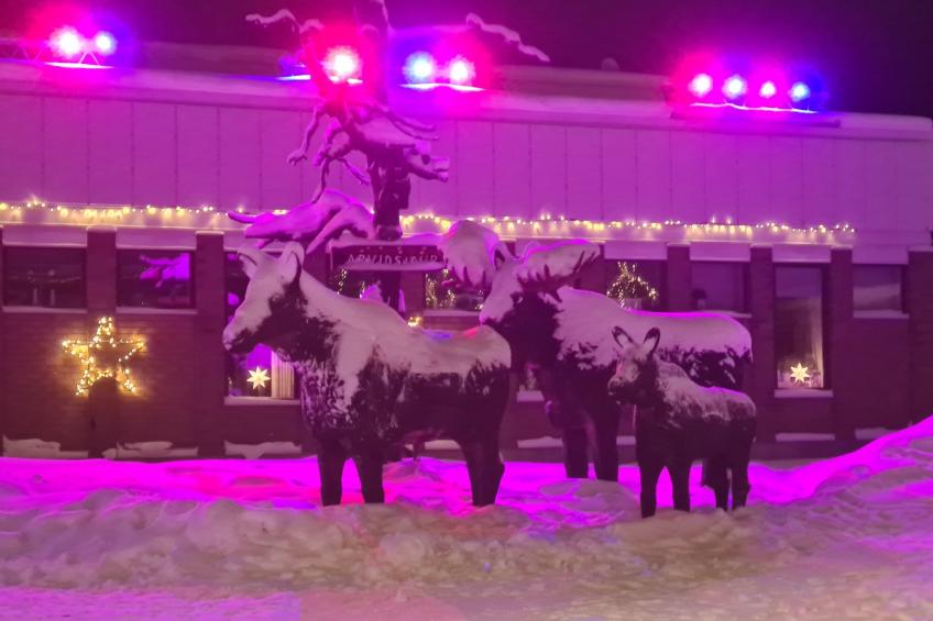 Haus-Lappland - foto 30