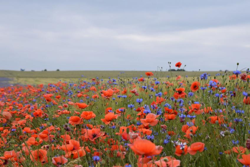 Stadt Apartement - foto 29