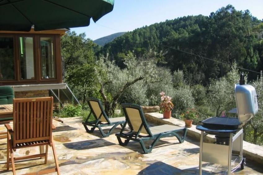 mit Sonnenterrasse und großem Garten - foto 22