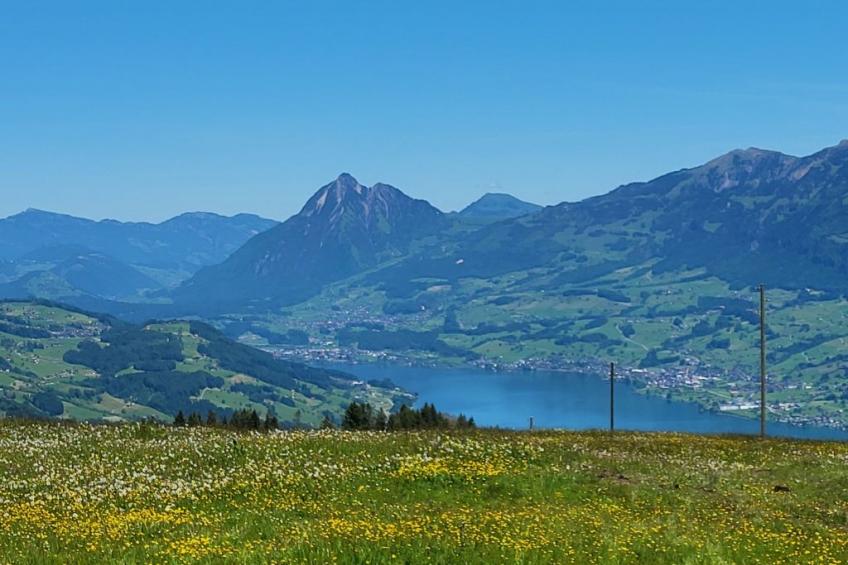 Fewo Pistenblick - foto 21