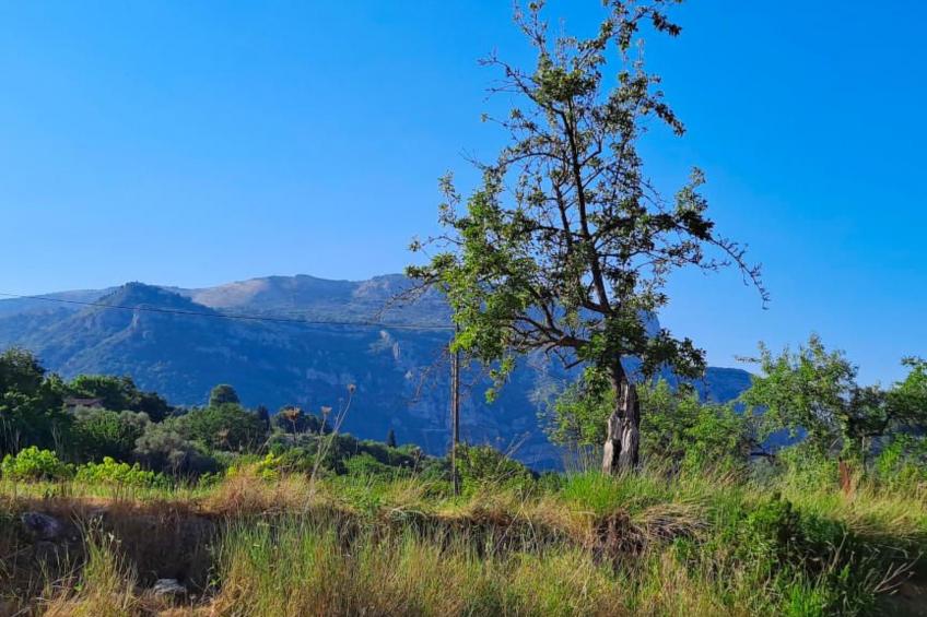 "Maison du Paysan" (Bauernhaus) - foto 5