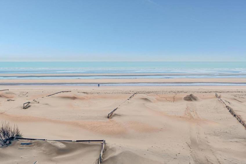 Zilte Rust - foto 39