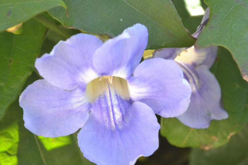 Luxuriöse Privatvilla mit Infinity-Pool - foto 23