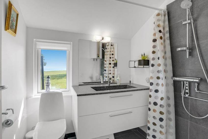 "Trajko" - 100m from the sea in Sealand - foto 24