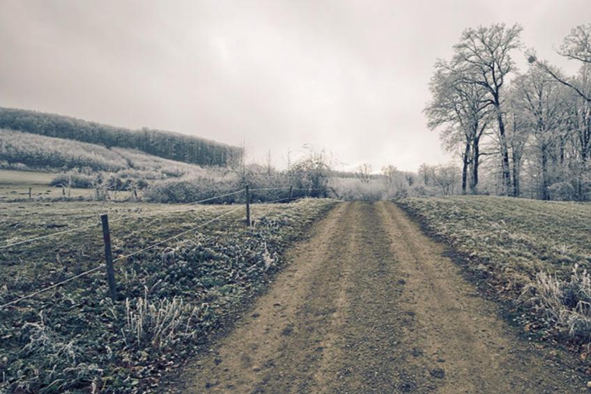 Wienerwaldblick - foto 11