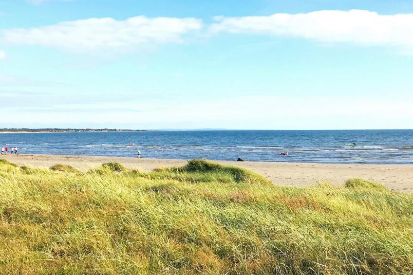 VW-9BV8X - foto 14