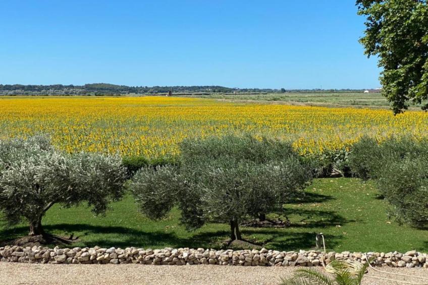 Le Ry de Chavan - foto 38