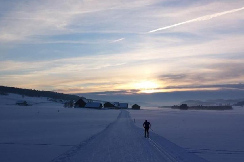 Wohnung in altem, renoviertem Bauernhaus - foto 56