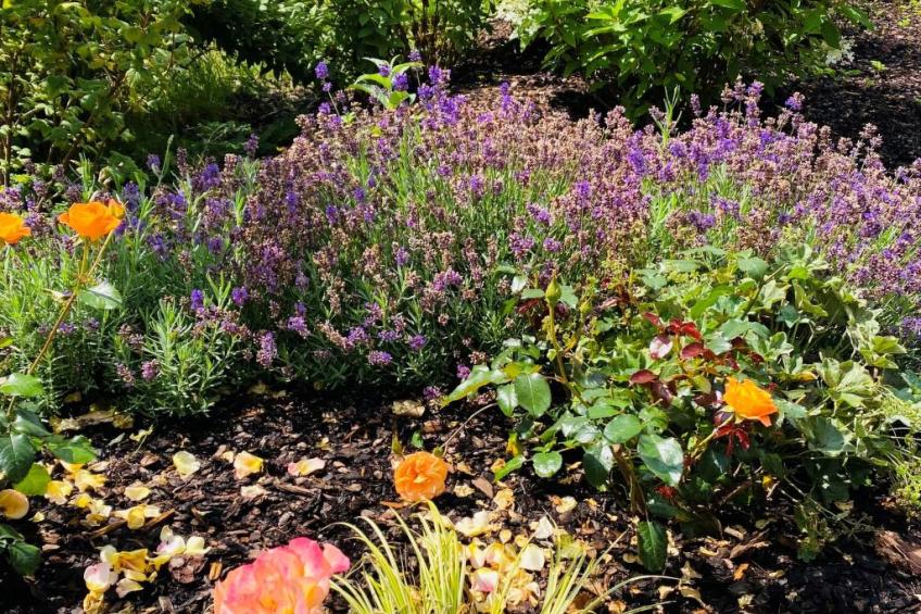 Frankenwald Lodge - foto 35