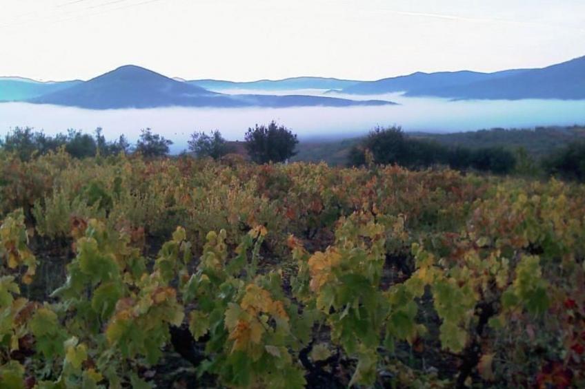 El Mirador del Soto - foto 8