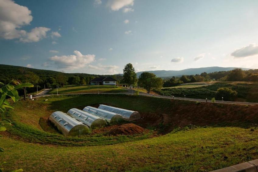 Mountain View Resort (Luka) - foto 4