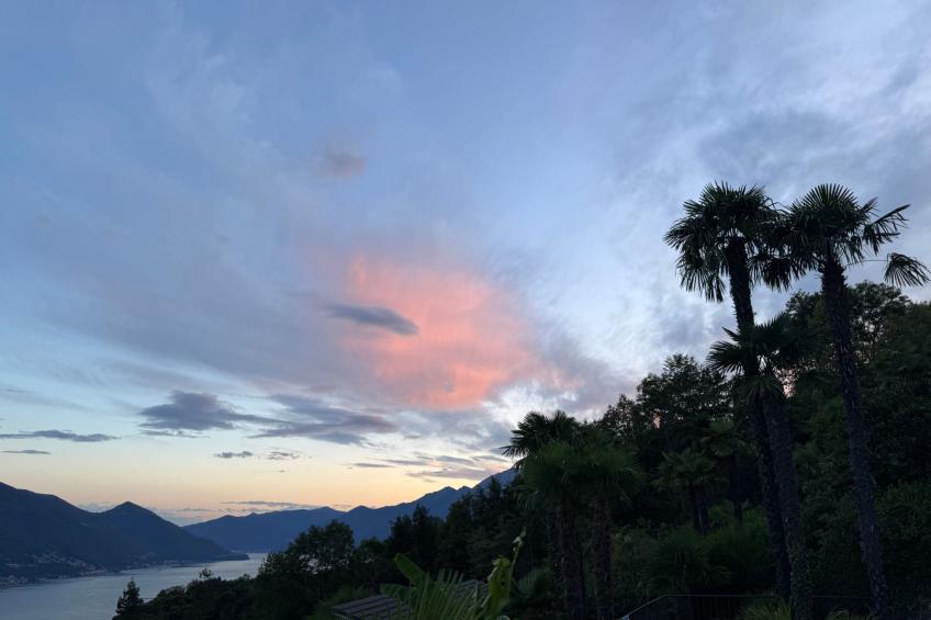 La Camelina - Contra - foto 18