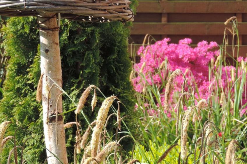 Dat luettje Huus 1 - foto 41