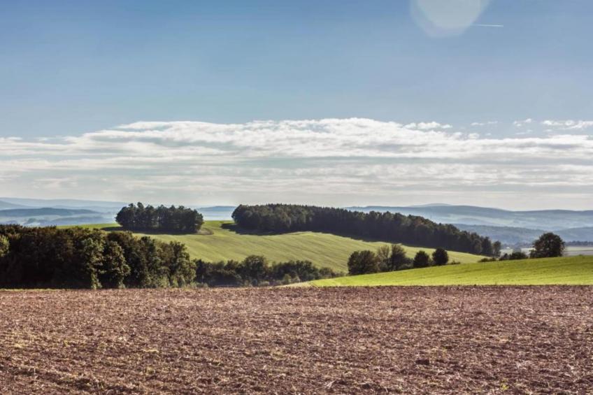 Im Erzgebirge - foto 21