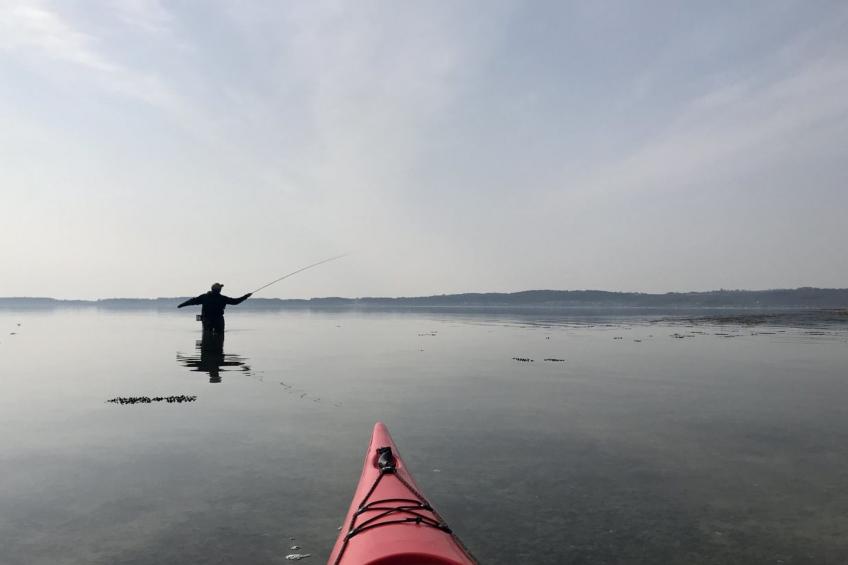 "Valia" - 20m from the sea - foto 6