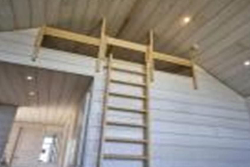 "Antim" - 10m from the sea - foto 8