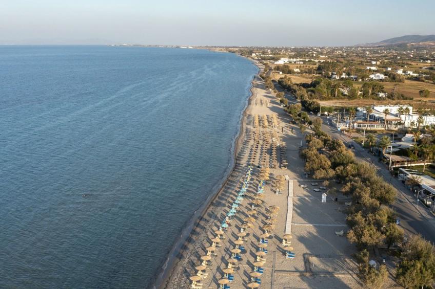 in einem Olivenhain in Strandnähe - foto 19