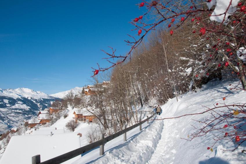 Plein Ciel VA 051 - MOUNTAIN apartment 8 pers