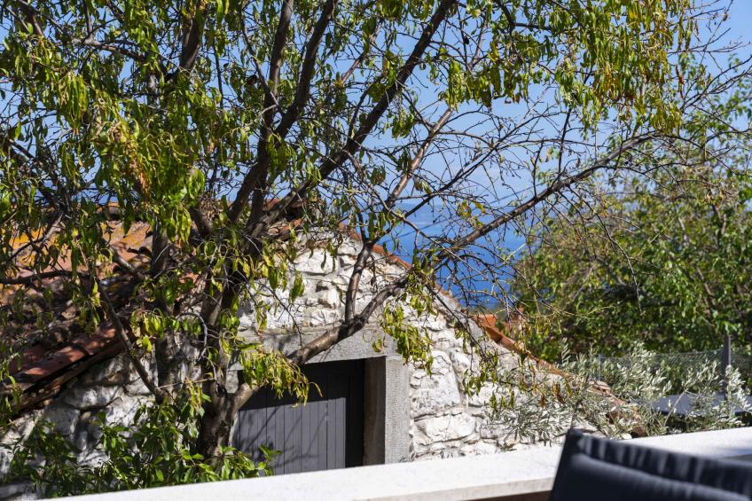 Ferienwohnung mit Terrasse und Meersicht - BF-96Z8C - foto 25