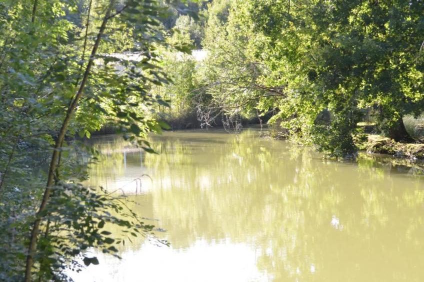 Le petit Nichoir - foto 24