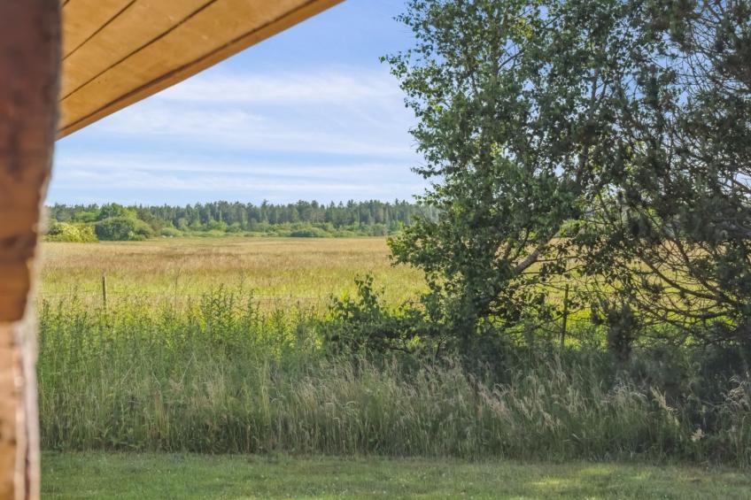 "Elsia" - 1.5km to the inlet in NW Jutland - foto 9