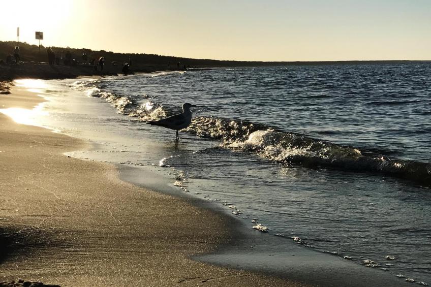 Ferienwohnung Strandidyll, Trassenheide - foto 29