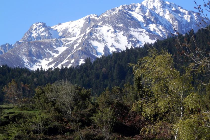 Résidence Illixon ST2S - foto 13