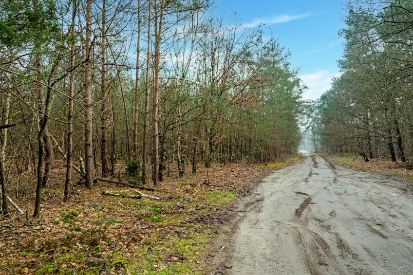 Reggezicht en Weidezicht samen - foto 32