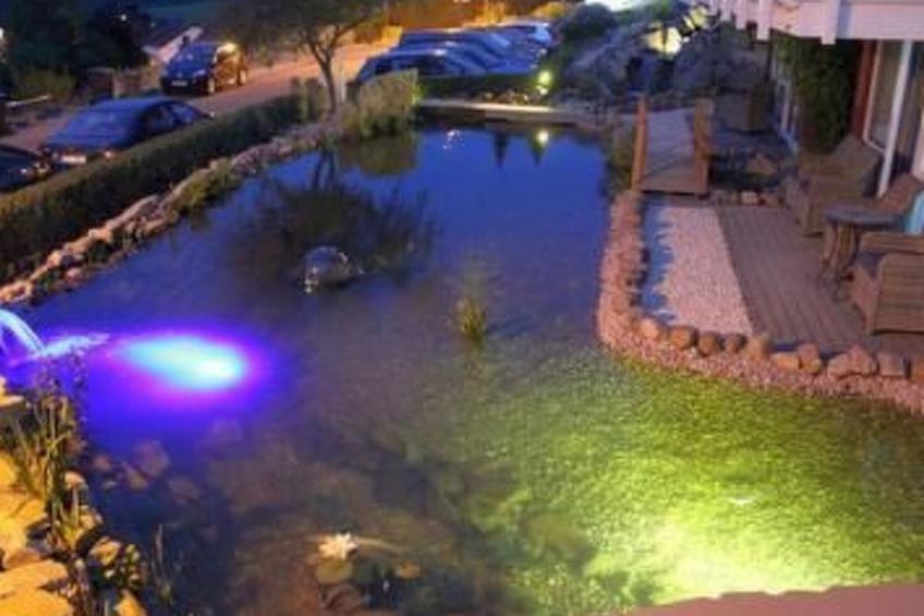 Maaridyll in Schalkenmehren - foto 8